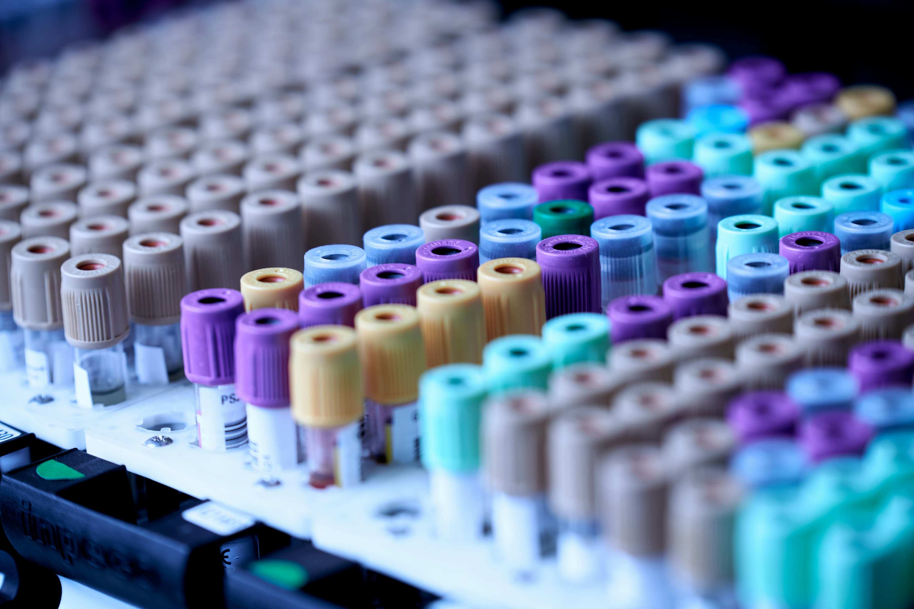 Blood Tests & Biometric Screening